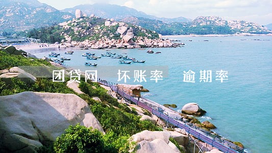 团贷网 坏账率 逾期率 团贷网 坏账率 逾期率